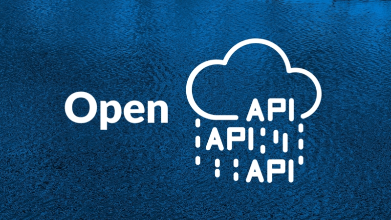 What is Open API?